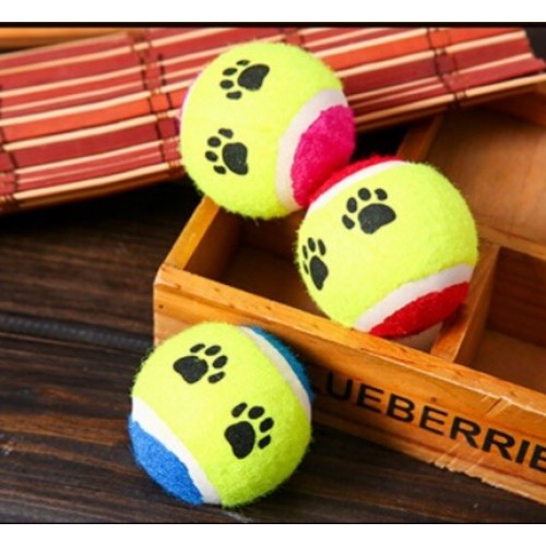 At Getir Köpek Eğitim Topu (5538) 1