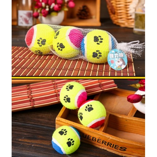 At Getir Köpek Eğitim Topu (5538) 2