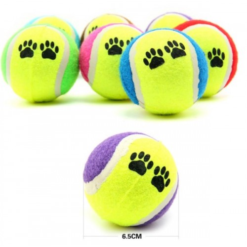 At Getir Köpek Eğitim Topu (5538) 3