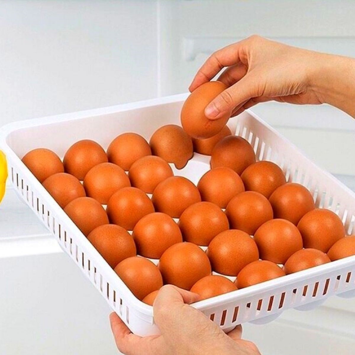 15'li Yumurta Saklama Kabı (5538) 3