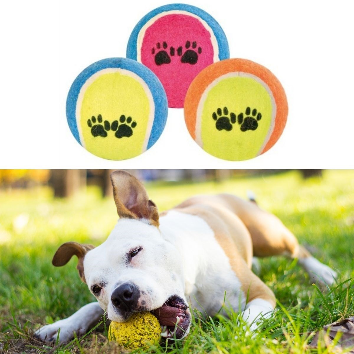 3'lü Renkli Desenli Tenis Topu Kedi Köpek Oyuncağı (5538) 2