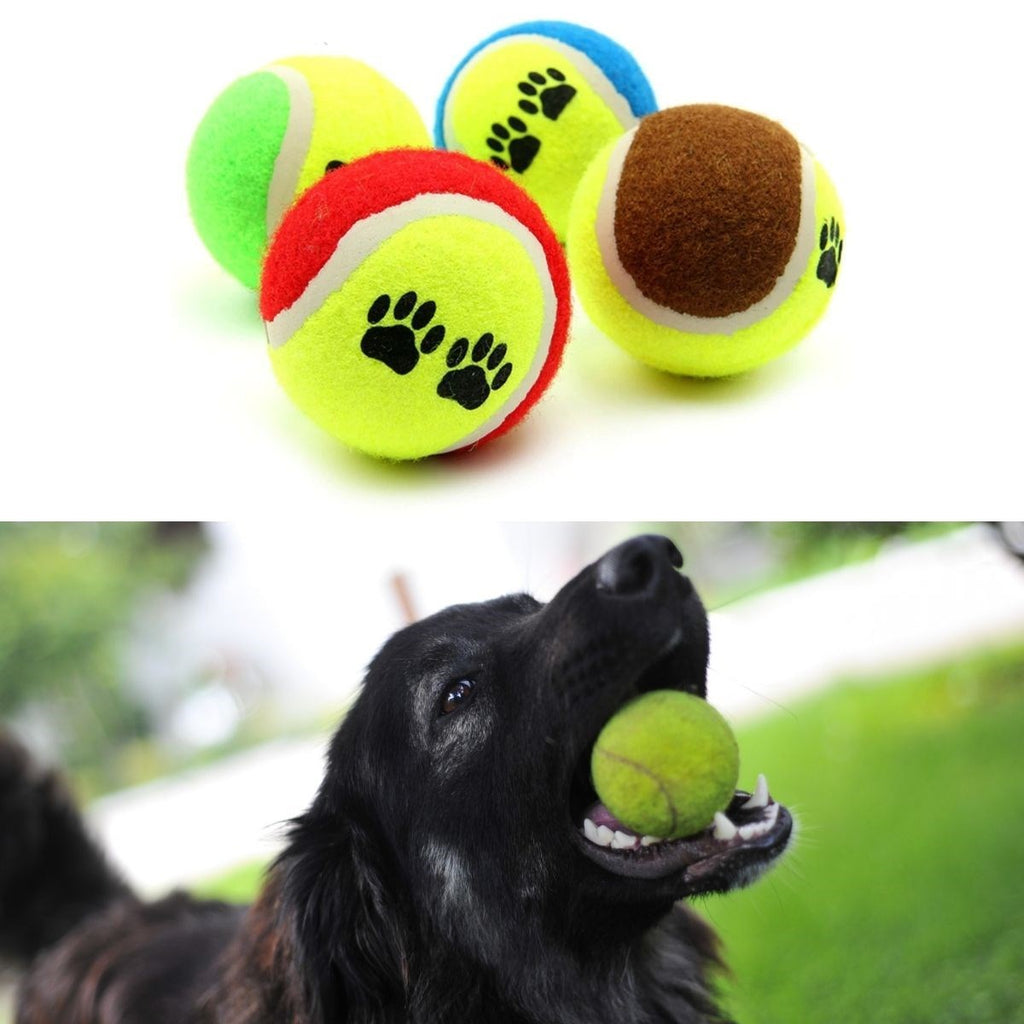 3'lü Renkli Desenli Tenis Topu Kedi Köpek Oyuncağı (5538) 3