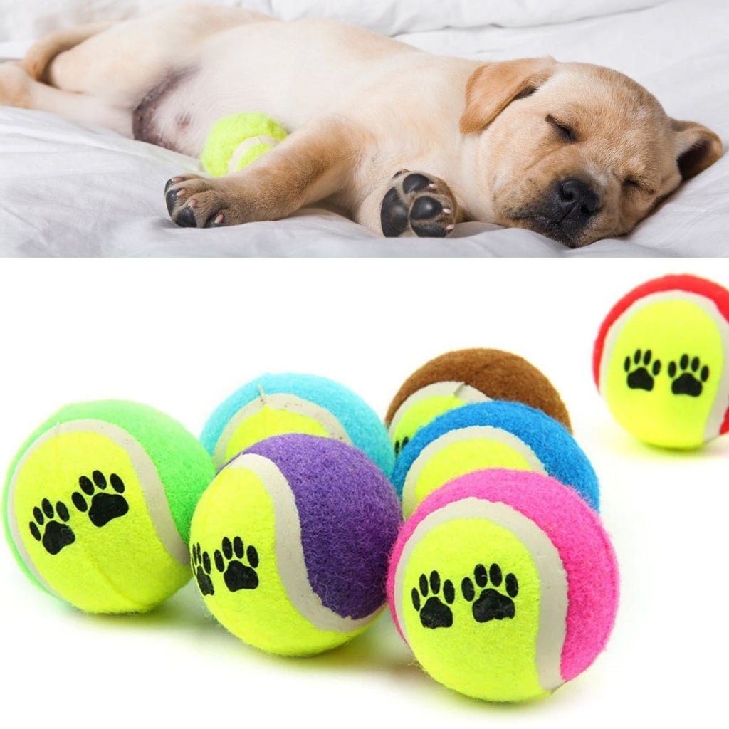 3'lü Renkli Desenli Tenis Topu Kedi Köpek Oyuncağı (5538) 5