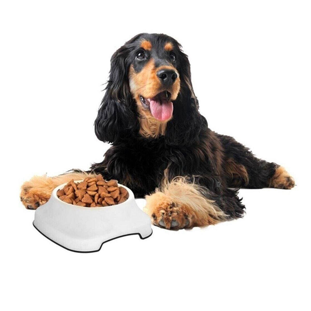 Silikon Kaydırmaz Taban Plastik Kedi ve Köpek Mama ve Su Kabı 2 L (5538) 2