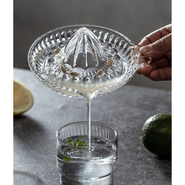 Cam Limon Sıkacağı 4