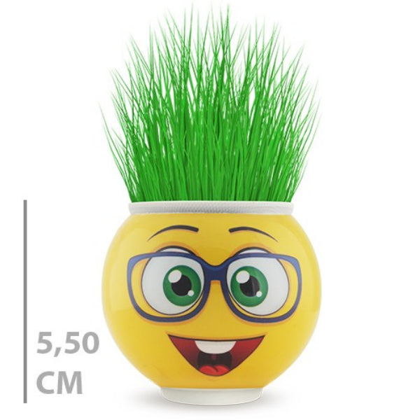 Çim Adam Saksı Emoji Figürlü 1 Adet 2