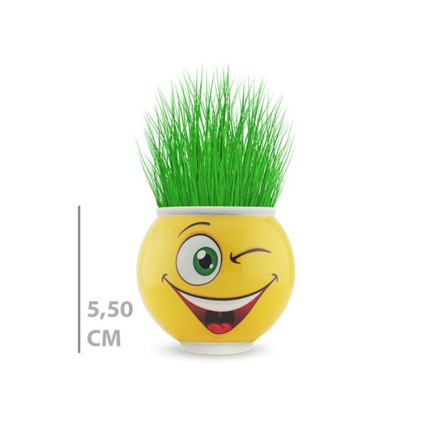 Çim Adam Saksı Emoji Figürlü 1 Adet 4
