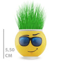 Çim Adam Saksı Emoji Figürlü 1 Adet 1