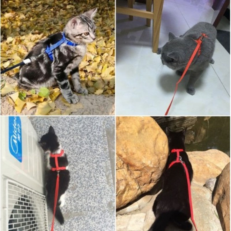 Kedi Boyun ve Göğüs Tasması 5