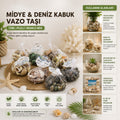 Dekoratif Vazo Taşı - Midye ve Deniz Kabuğu - Fileli Renkli Mix 1