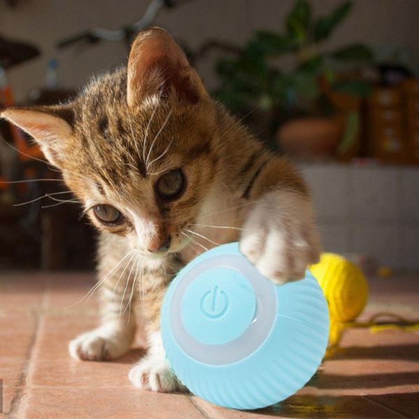 İnteraktif Kedi Köpek Şarjlı Oyun Topu 3