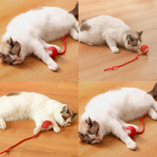Şarjlı Kedi Oyuncağı 2