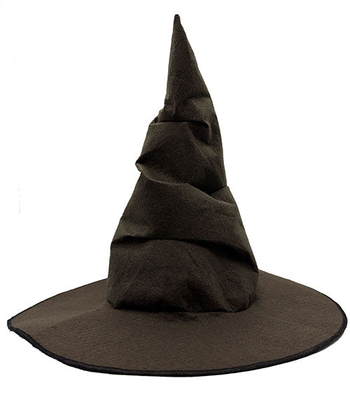 Harry Potter Seçmen Şapkası Çocuk Boy 1
