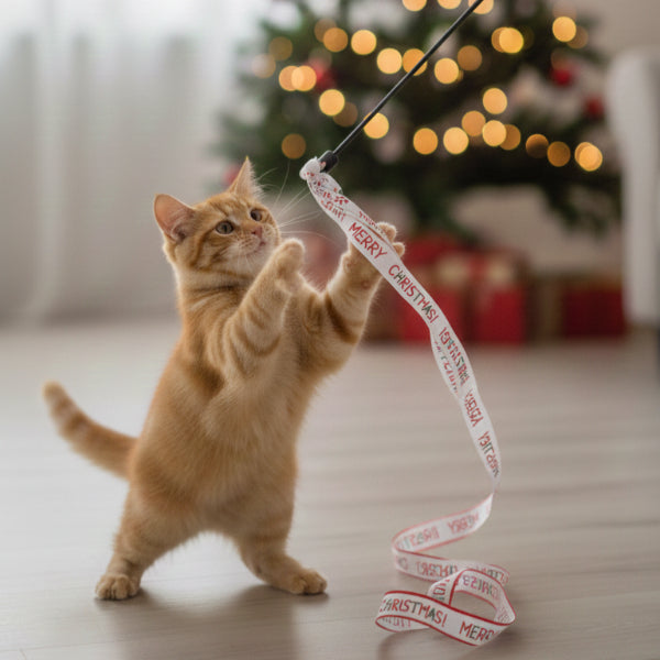 Yılbaşı Temalı Kedi Oyun Oltası 2