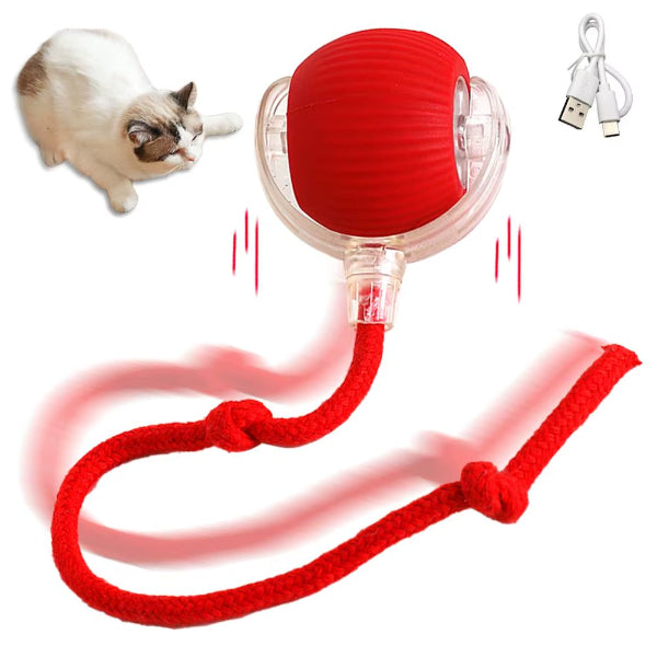 Şarjlı Kedi Oyuncağı 1