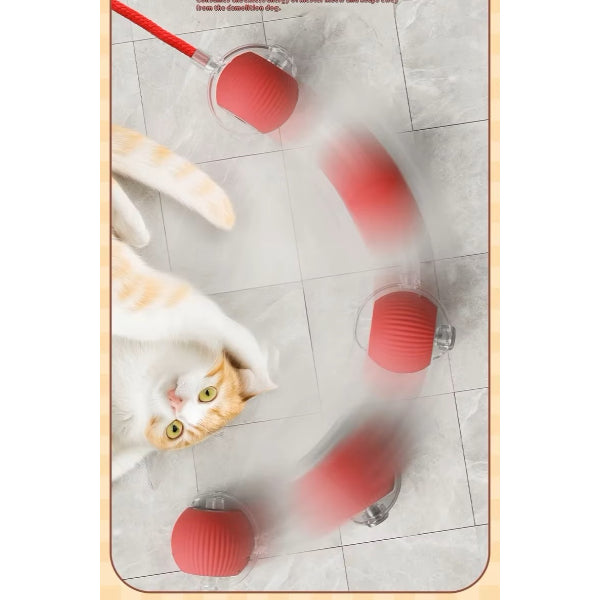 Şarjlı Kedi Oyuncağı 3