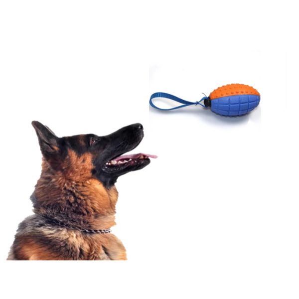 Köpek Diş Kaşıma Oyun Topu 2