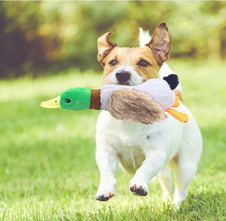 Sesli Ördek Şekilli Peluş Köpek Oyuncağı 1