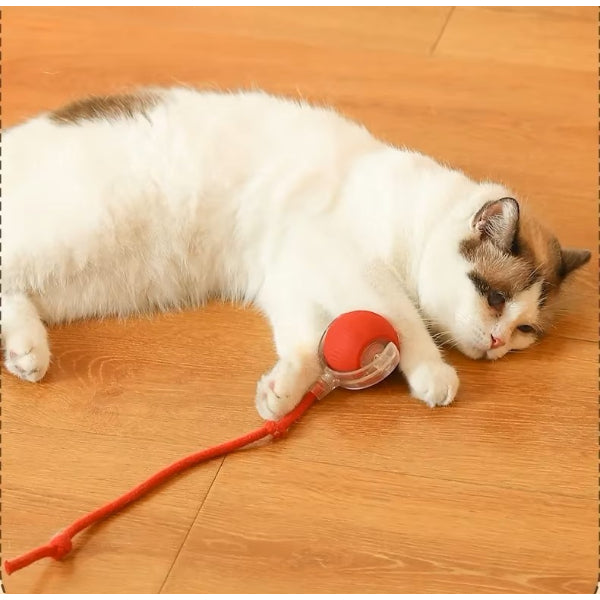 Şarjlı Kedi Oyuncağı 5