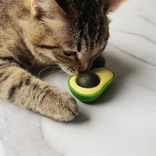 Avokado Model Yapışkanlı Kedi Oyuncağı Yenilebilir Kedi Nanesi Otu (5538) 2