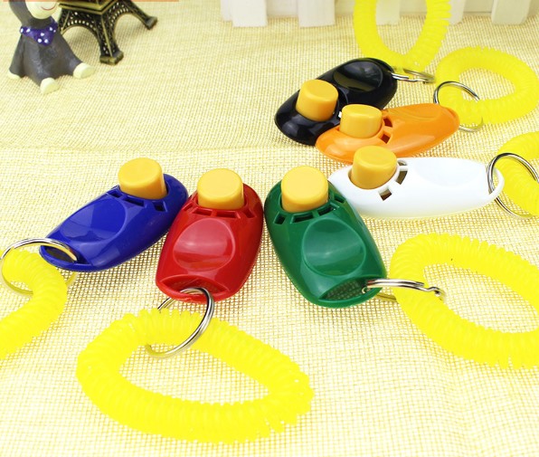 KÖPEK EĞITIMI CLICKER 2