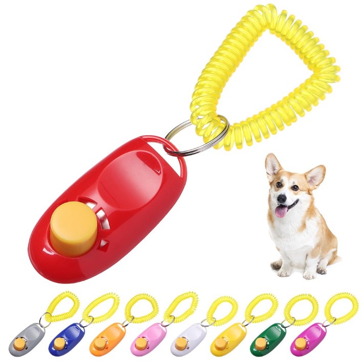 KÖPEK EĞITIMI CLICKER 1