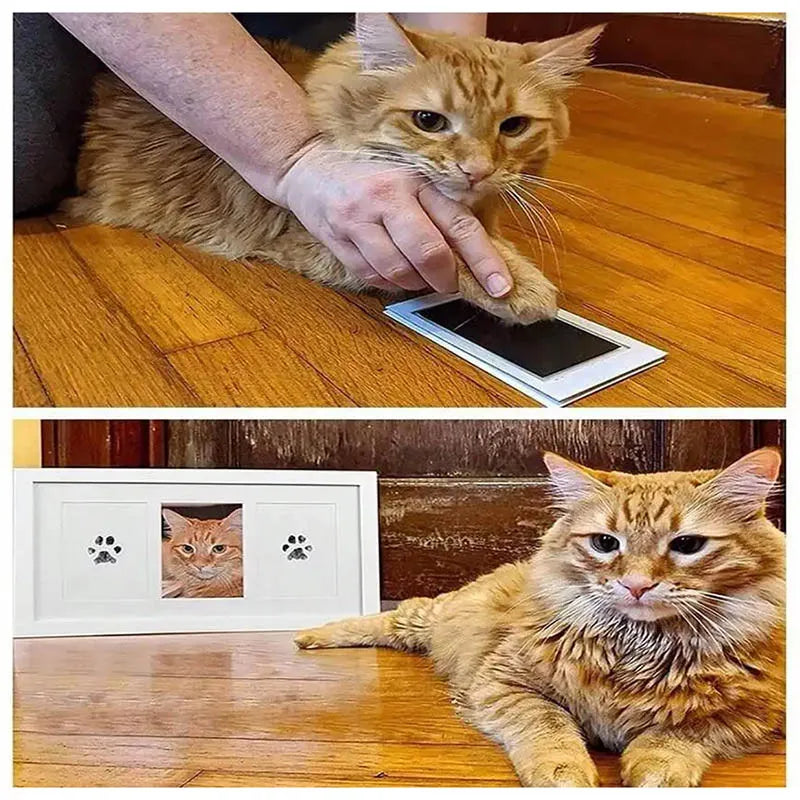 Kedi Köpek Pati İzi Fotoğraf Çerçevesi Seti 5