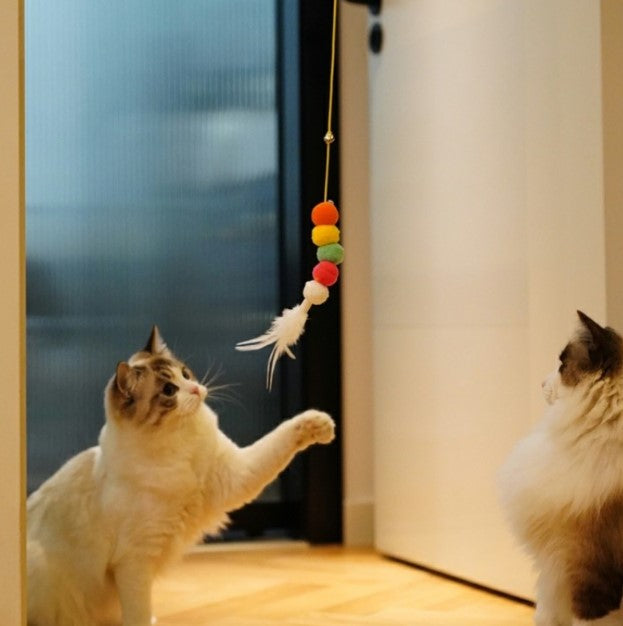 Elastik Kendinden Yapışkanlı Solucan Kedi Oltası (5538) 2