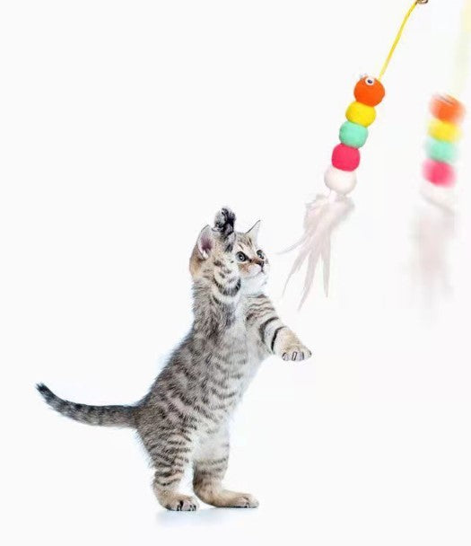 Elastik Kendinden Yapışkanlı Solucan Kedi Oltası (5538) 3