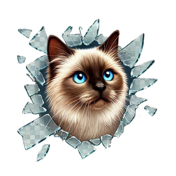 Fulcar Kedi Tasarımlı Araç Stickerı 2