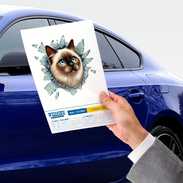Fulcar Kedi Tasarımlı Araç Stickerı 5