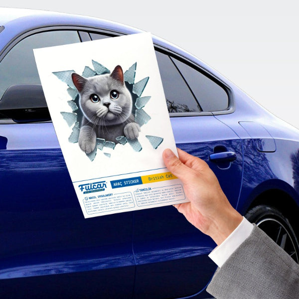 Fulcar Kedi Tasarımlı Araç Stickerı 4