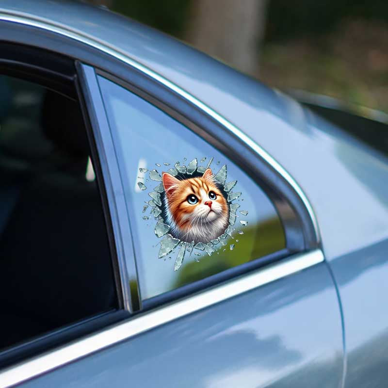 Fulcar Sarman Araç Stickerı 1
