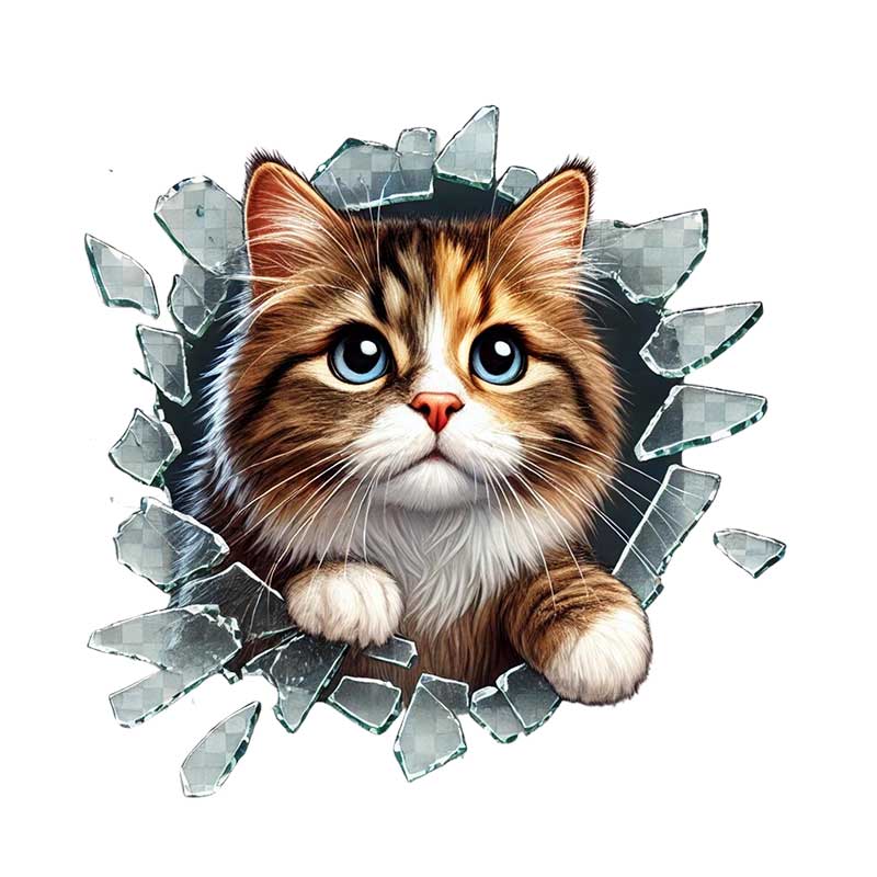Fulcar Stray Araç Stickerı 1