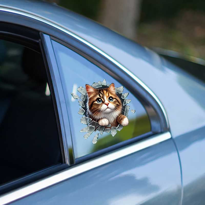 Fulcar Stray Araç Stickerı 3