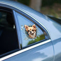 Fulcar Chiuahua Araç Stickerı 1