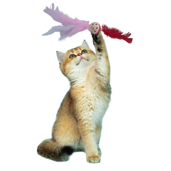Tüylü Püsküllü Kedi Oyuncağı Dikkat Çekici Renkli Sevimli Evcil Hayvan Oyuncağı (5538) 2