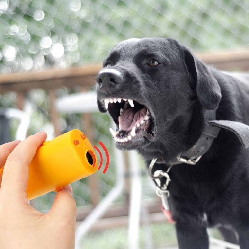 Ultrasonik Köpeksavar Köpek Kovucu Köpek Kornası Eğitim Cihazı (5538) 2
