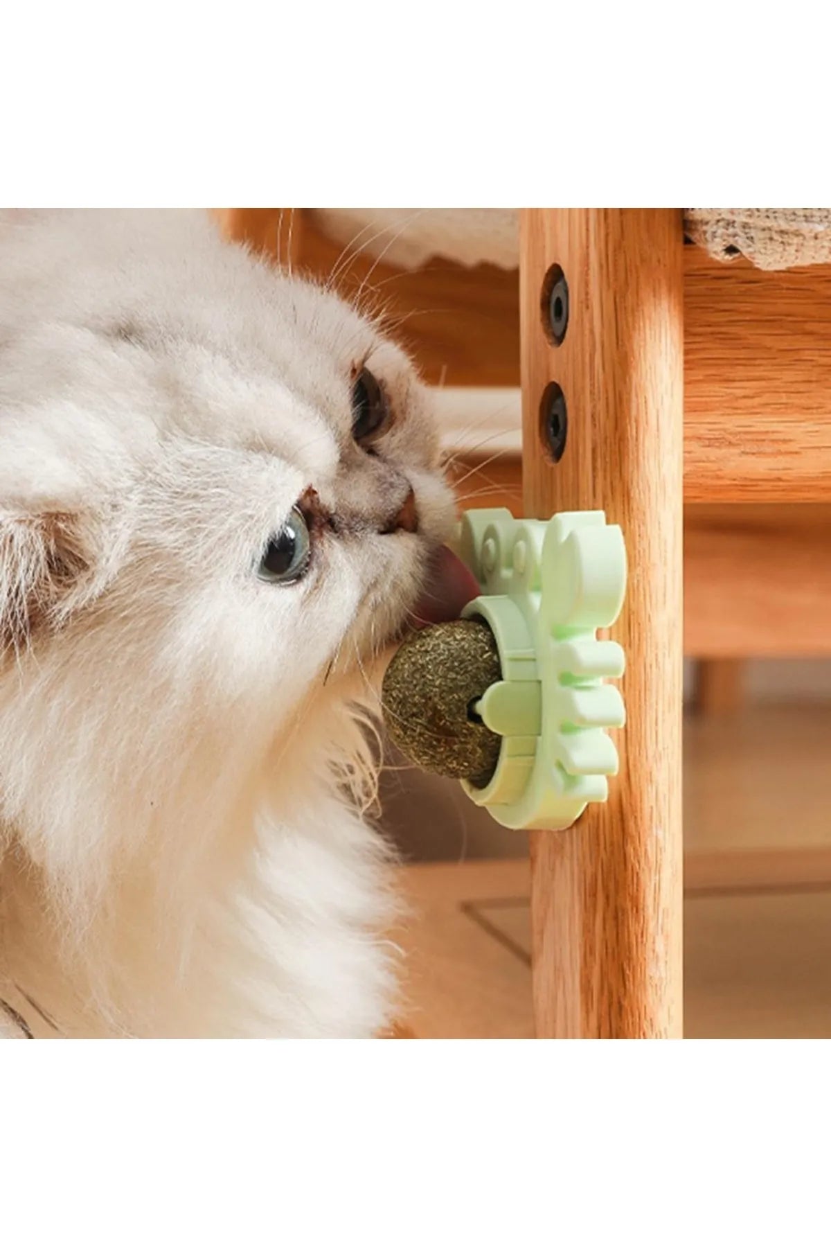 Yengeç Kedi Otu Oyun Topu 4